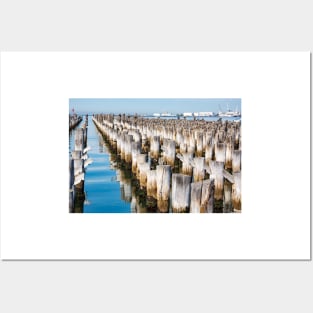 Wooden piles off Princess Pier, Melbourne. Posters and Art
